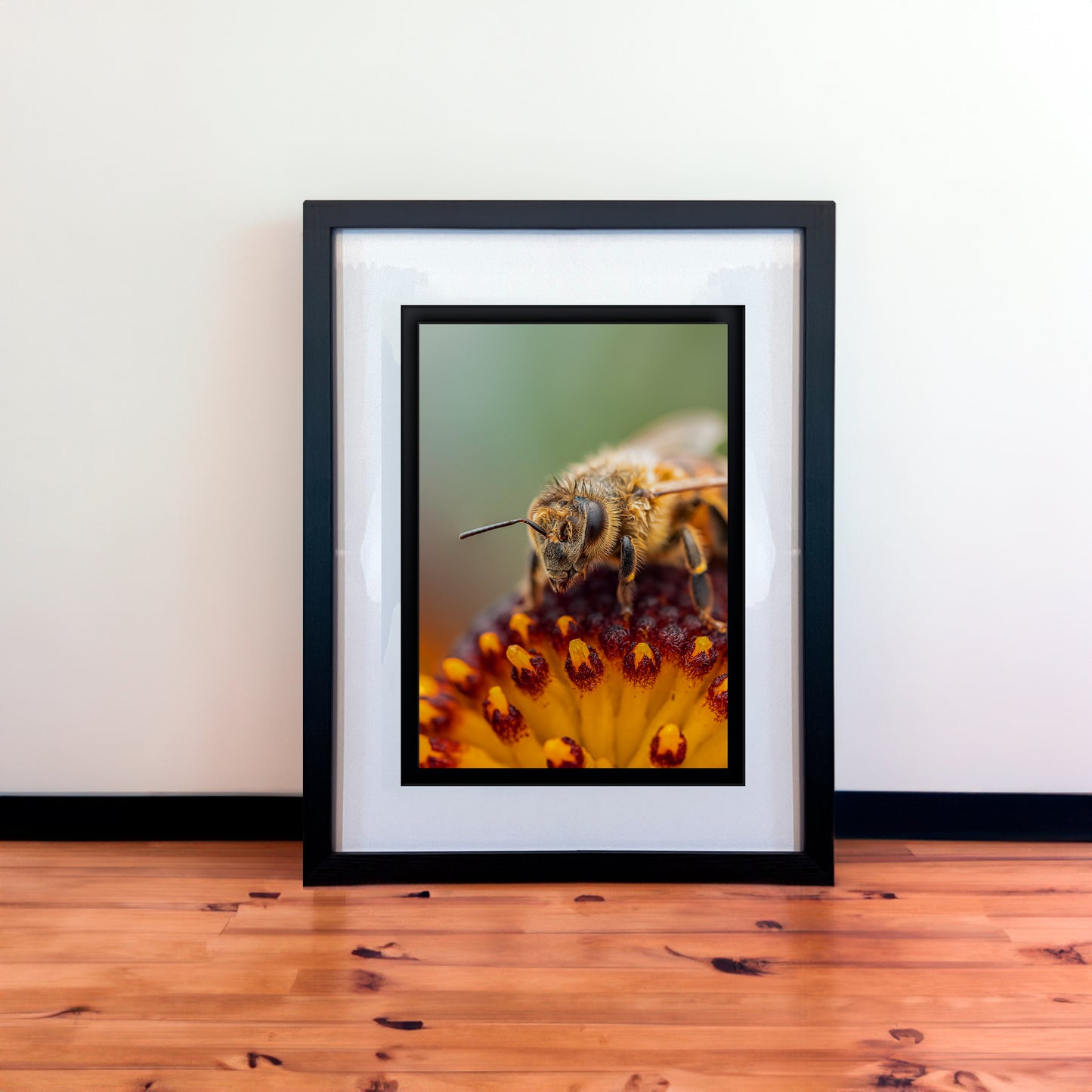 Macro Honey Bee Photography Print in Elegant Black Mount Frame