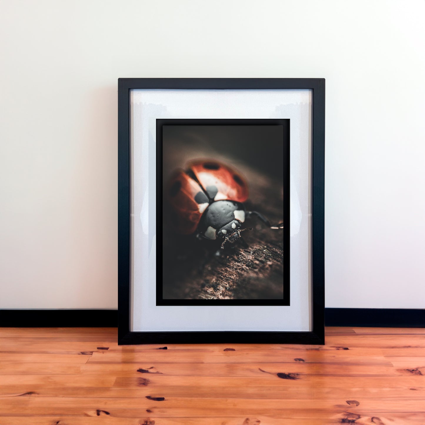 Beautiful Macro Ladybug Photography Print in Elegant Black Mount Frame