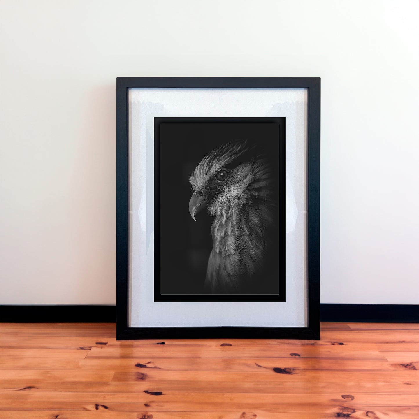 Stunning Yellow Headed Caracara Photography Print in Elegant Black Mount Frame