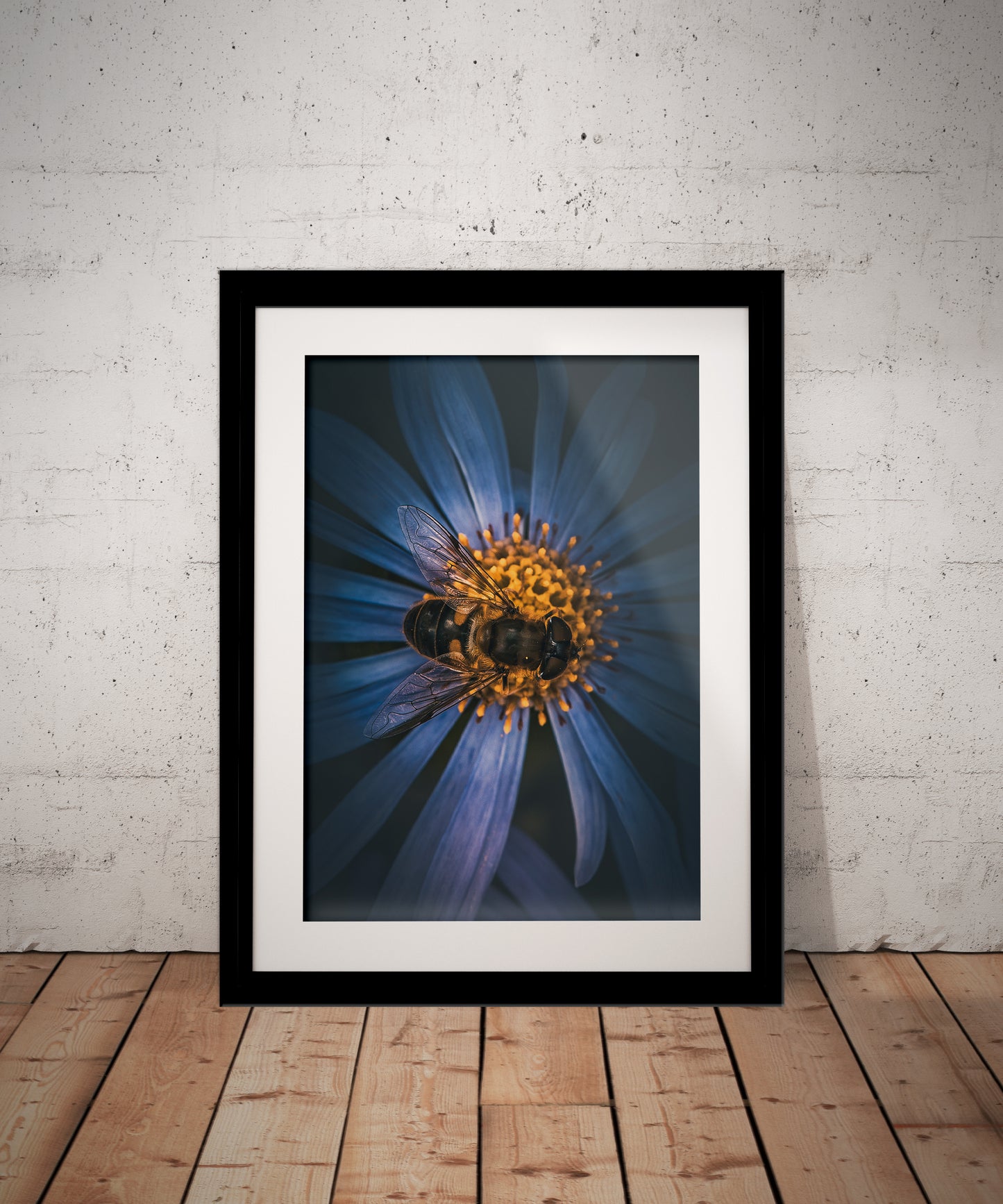 Beautiful Macro Hoverfly & Blue Flower Photography Print in Elegant Black Mount Frame
