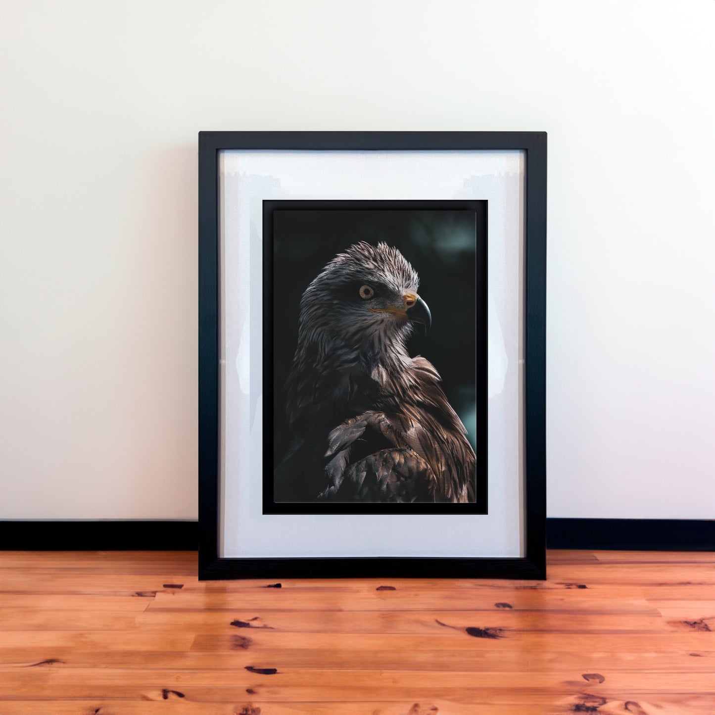 Stunning Red Kite Photography Print in Elegant Black Mount Frame