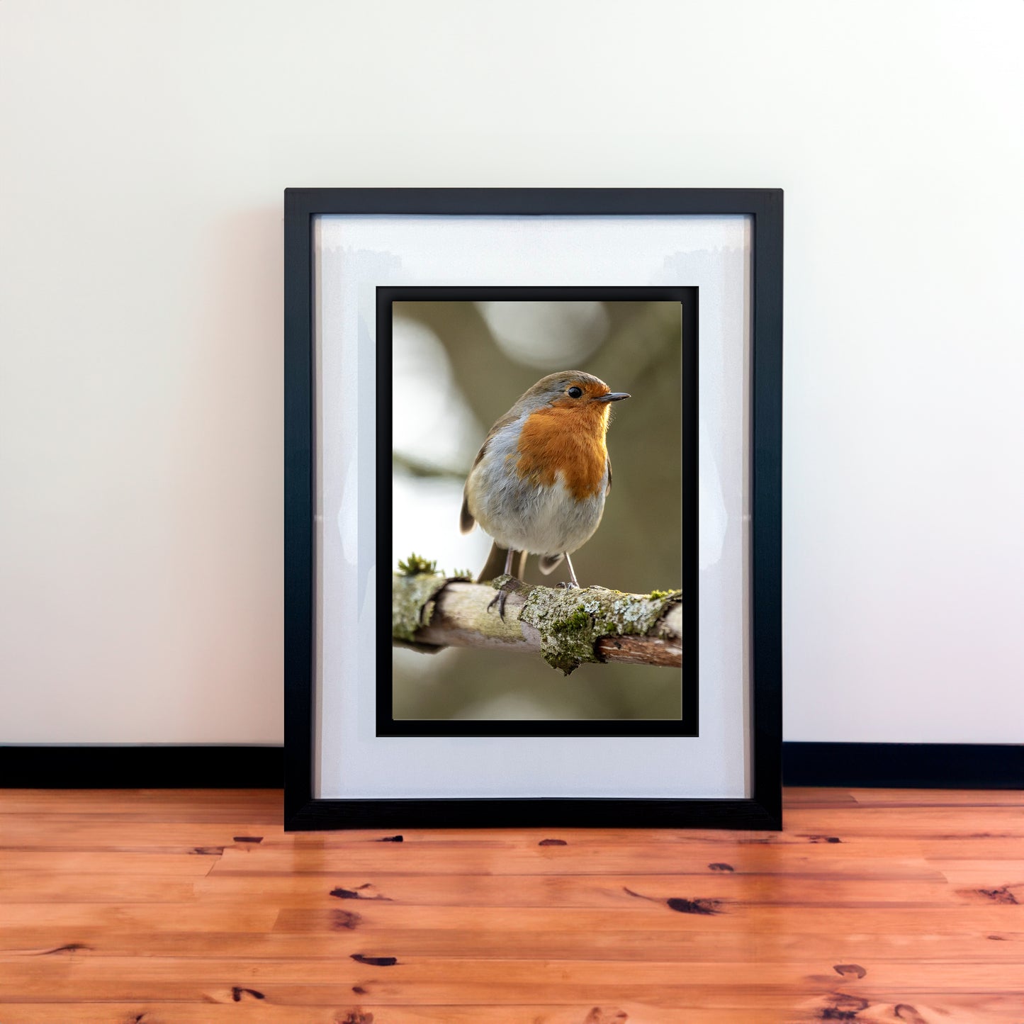 Beautiful European Robin Photography Print in Elegant Black Mount Frame