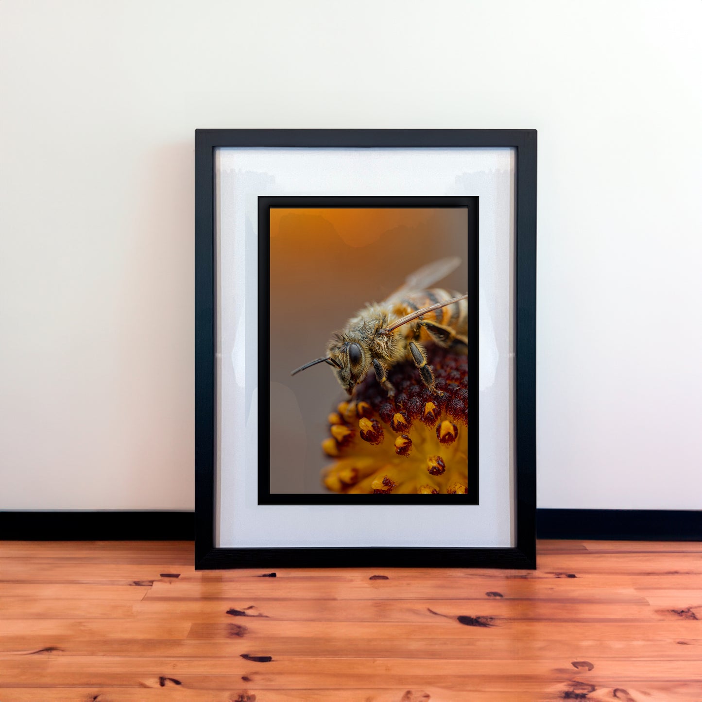 Elegant Macro Honey Bee Photography Print in Elegant Black Mount Frame