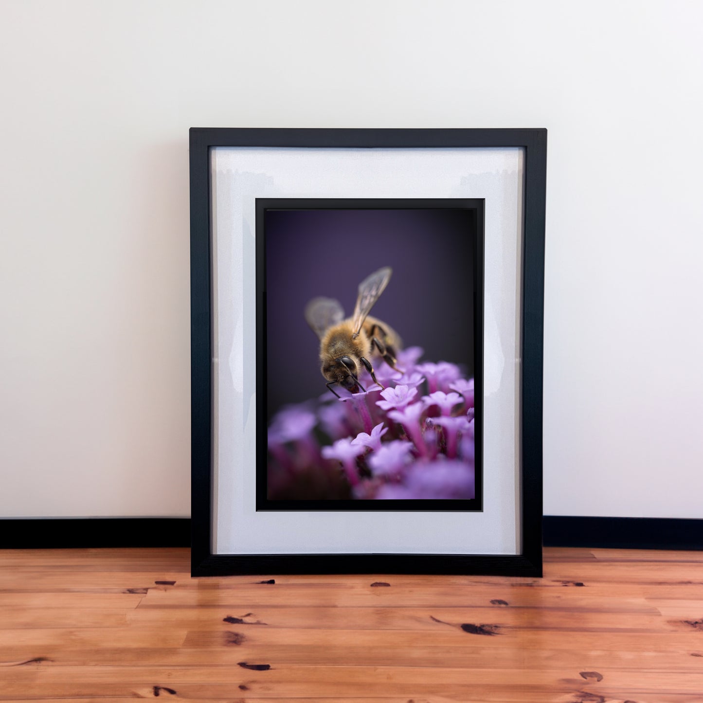 Stunning Macro Honey Bee  & Purple Flowers Photography Print in Elegant Black Mount Frame