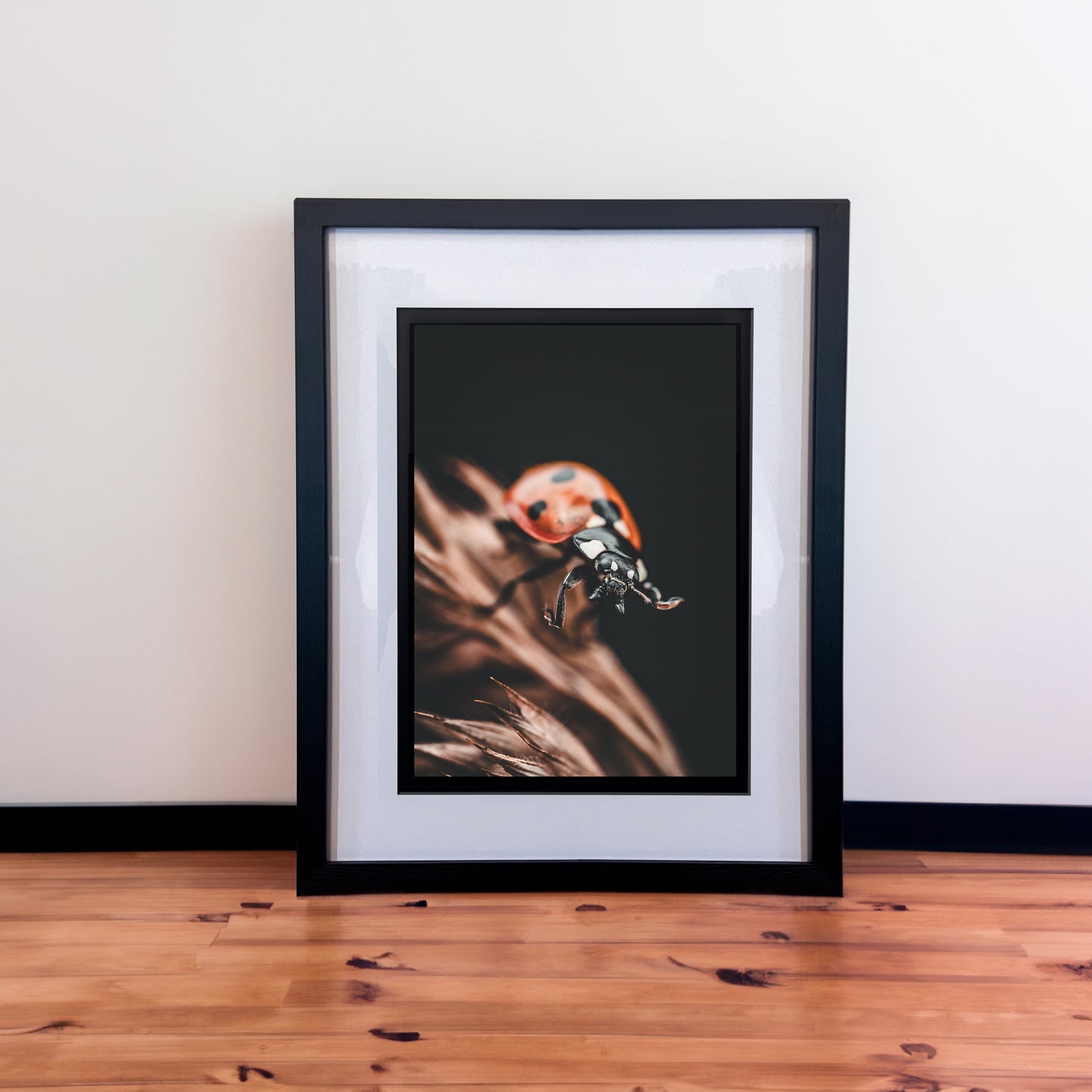 Wonderful Waving Macro Ladybug Photography Print in Elegant Black Mount Frame