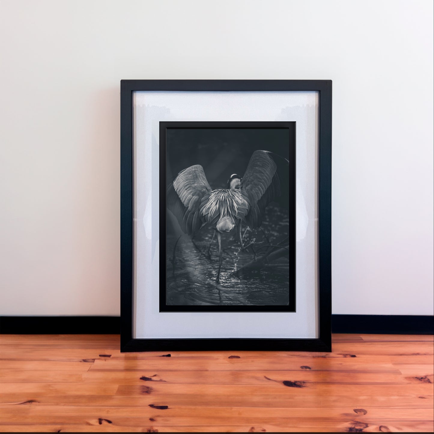 Majestic Grey Heron B&W Photography Print in Elegant Black Mount Frame