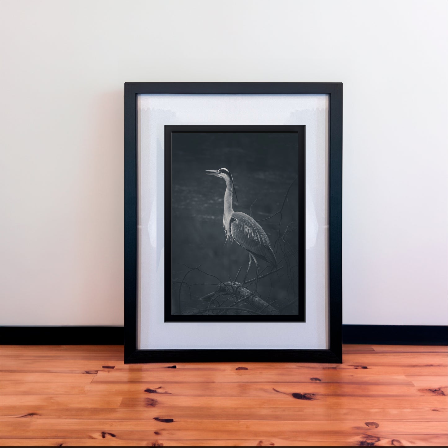 Majestic Grey Heron B&W Photography Print in Elegant Black Mount Frame