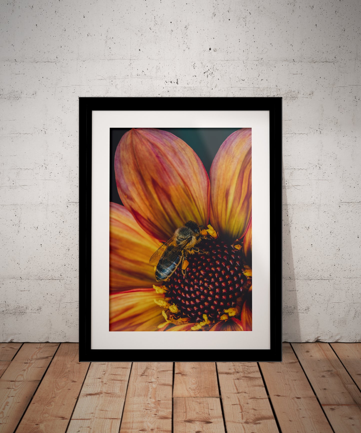Beautiful Macro Bee Photography Print in Elegant Black Mount Frame