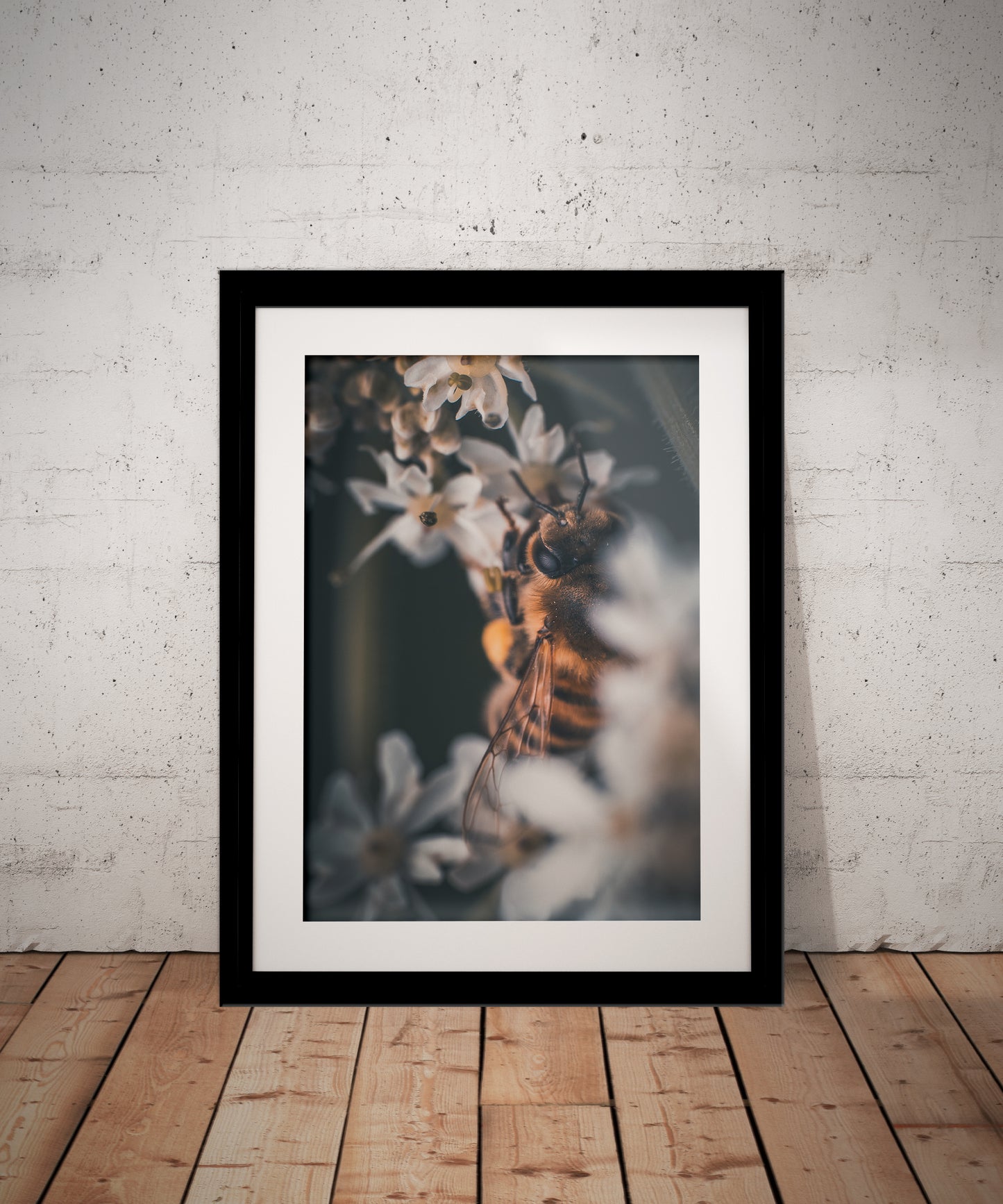 Elegant Macro Honey Bee & White Flowers Photography Print in Elegant Black Mount Frame