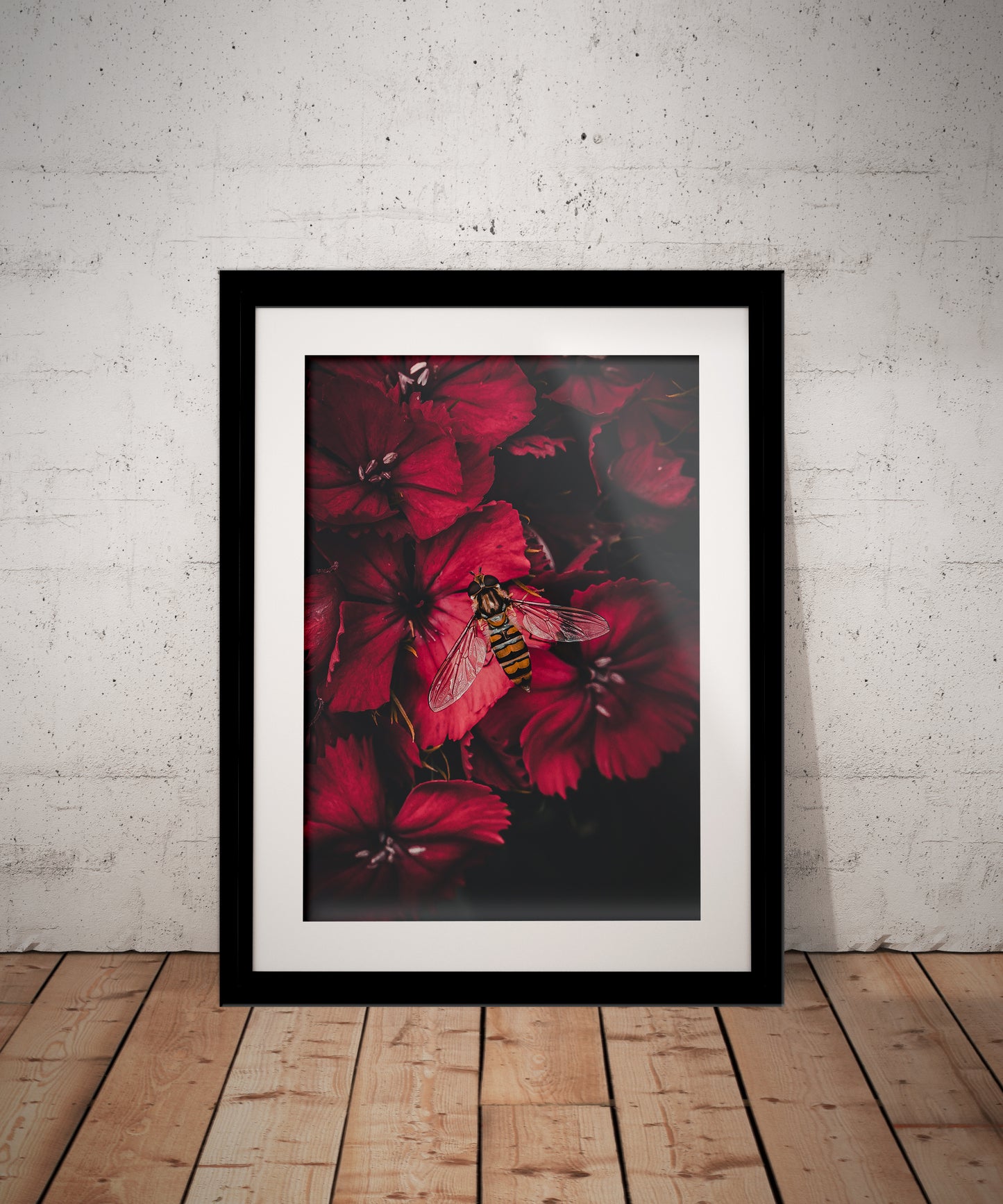 Stunning Macro Hoverfly & Red Flowers Photography Print in Elegant Black Mount Frame