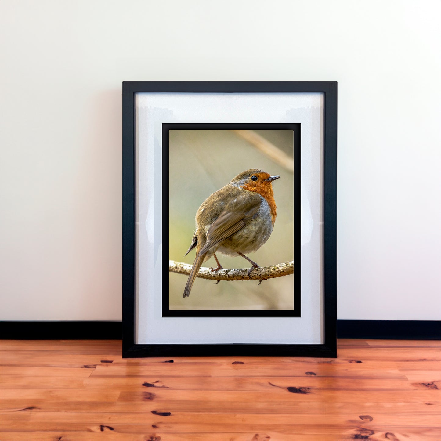 Beautiful European Robin Photography Print in Elegant Black Mount Frame